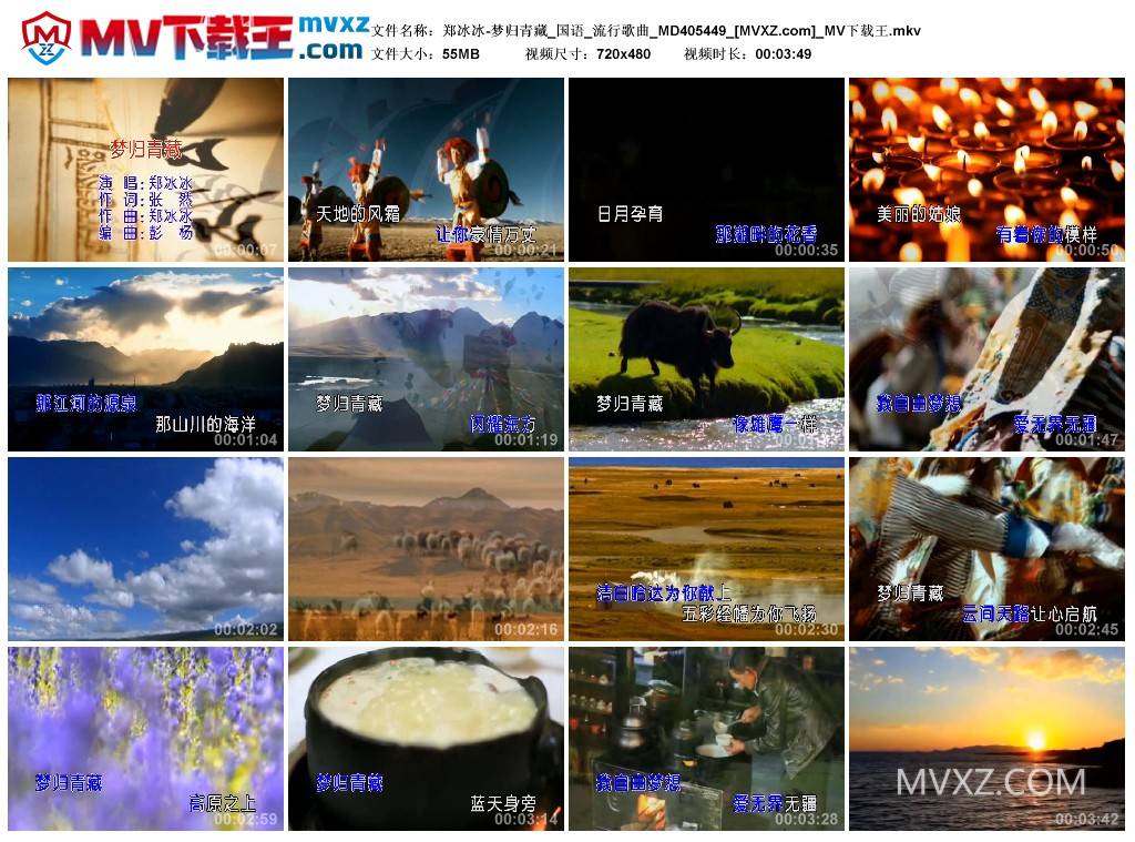 郑冰冰-梦归青藏_国语_流行歌曲_MD405449